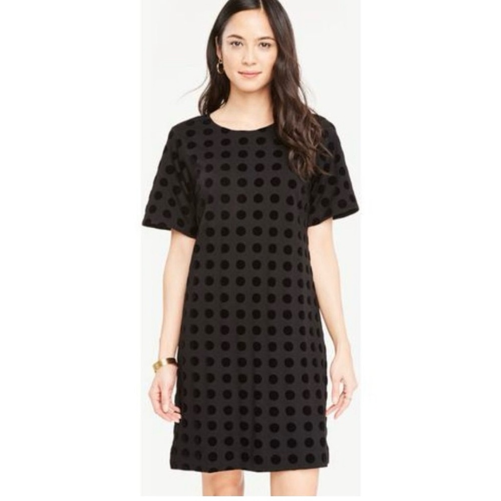Ann Klein Velvet Dot Black Mini Dress Short Sleeve Size Large Petite Crew Neck